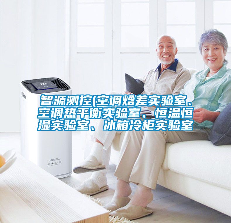 智源測(cè)控(空調(diào)焓差實(shí)驗(yàn)室、空調(diào)熱平衡實(shí)驗(yàn)室、恒溫恒濕實(shí)驗(yàn)室、冰箱冷柜實(shí)驗(yàn)室