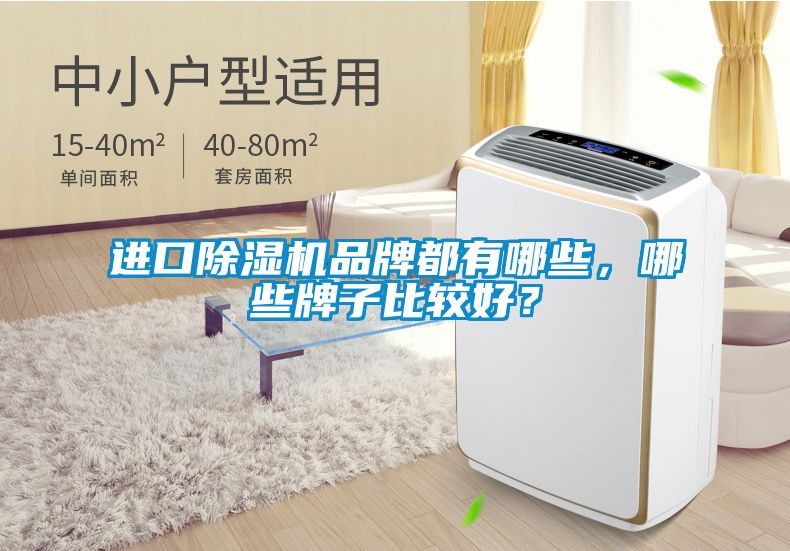 進(jìn)口除濕機(jī)品牌都有哪些，哪些牌子比較好？