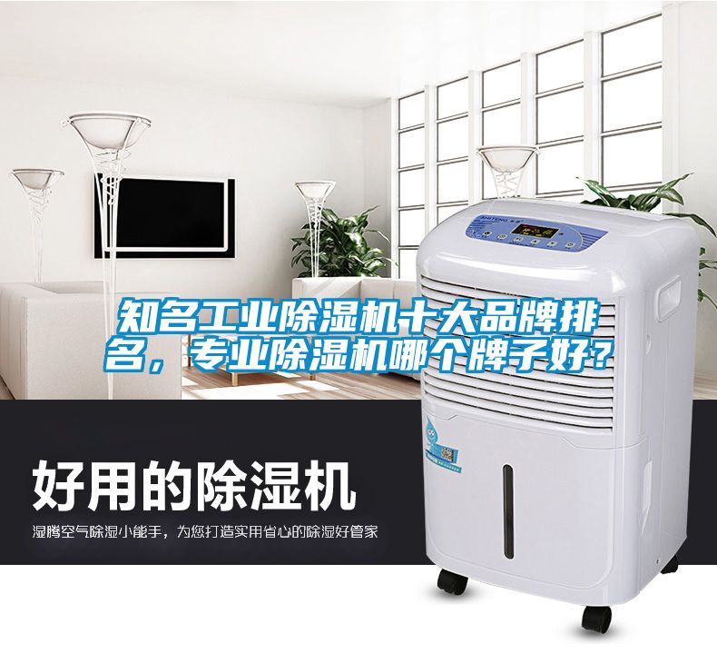 知名工業(yè)除濕機(jī)十大品牌排名，專業(yè)除濕機(jī)哪個(gè)牌子好？