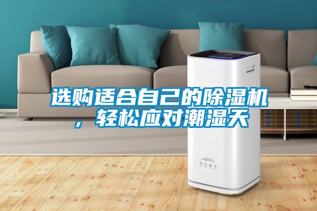 選購適合自己的除濕機，輕松應對潮濕天