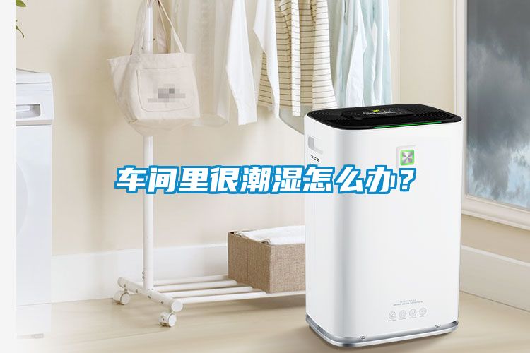 車間里很潮濕怎么辦？