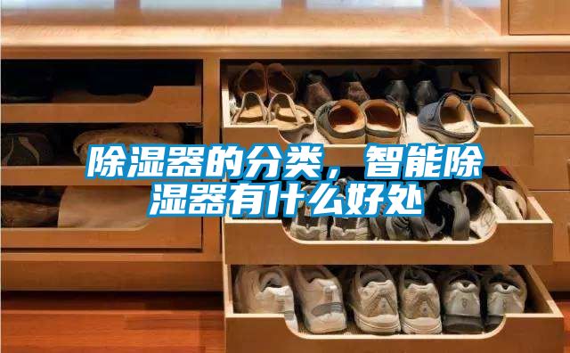 除濕器的分類，智能除濕器有什么好處