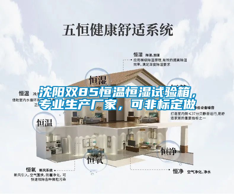 沈陽(yáng)雙85恒溫恒濕試驗(yàn)箱，專業(yè)生產(chǎn)廠家，可非標(biāo)定做