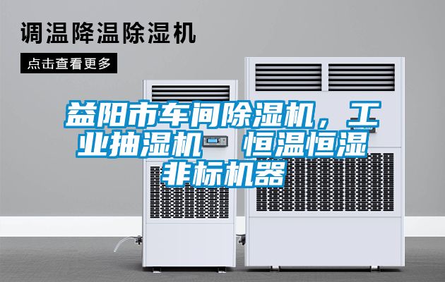 益陽市車間除濕機，工業(yè)抽濕機  恒溫恒濕非標機器