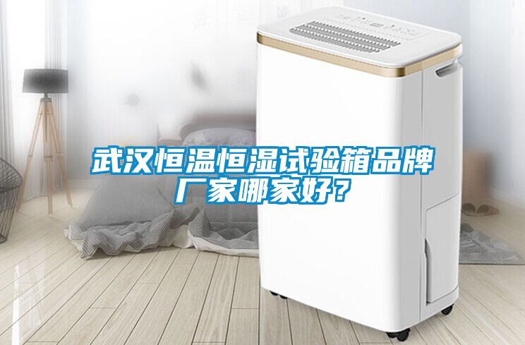 武漢恒溫恒濕試驗(yàn)箱品牌廠家哪家好？
