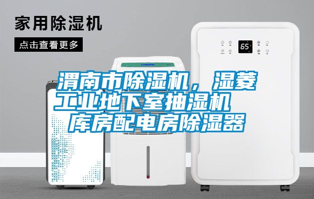 渭南市除濕機(jī)，濕菱工業(yè)地下室抽濕機(jī)  庫(kù)房配電房除濕器