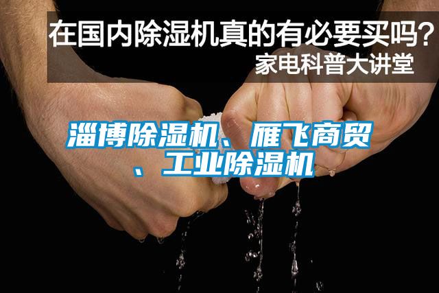 淄博除濕機、雁飛商貿(mào)、工業(yè)除濕機