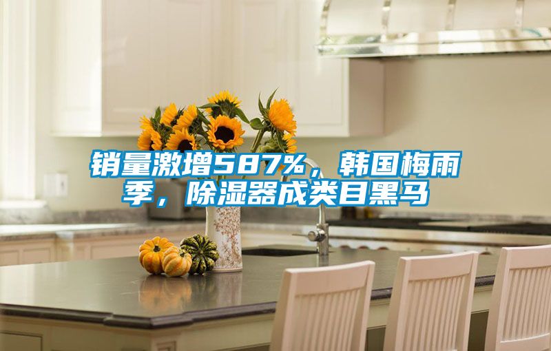 銷量激增587%，韓國(guó)梅雨季，除濕器成類目黑馬