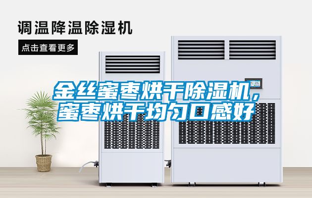 金絲蜜棗烘干除濕機，蜜棗烘干均勻口感好