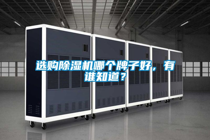 選購除濕機(jī)哪個牌子好，有誰知道？