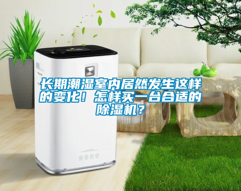長期潮濕室內(nèi)居然發(fā)生這樣的變化！怎樣買一臺合適的除濕機？