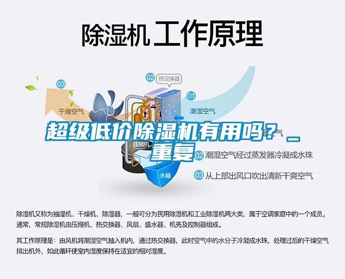 超級(jí)低價(jià)除濕機(jī)有用嗎？_重復(fù)