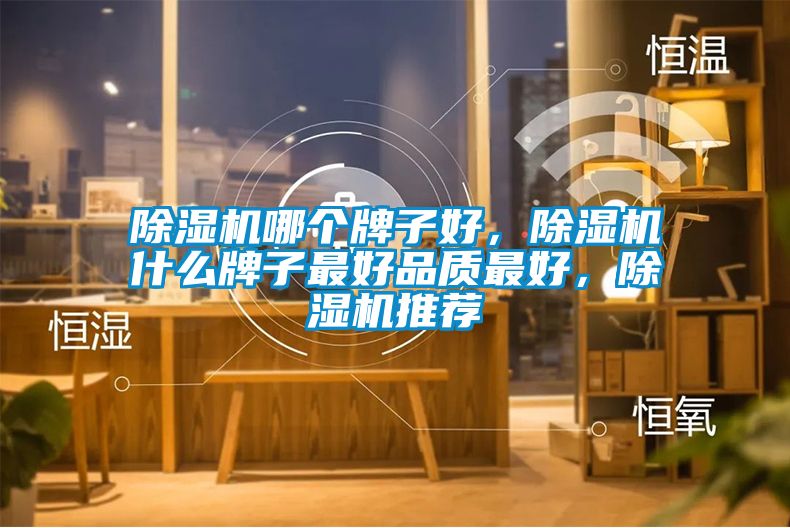 除濕機(jī)哪個牌子好，除濕機(jī)什么牌子最好品質(zhì)最好，除濕機(jī)推薦
