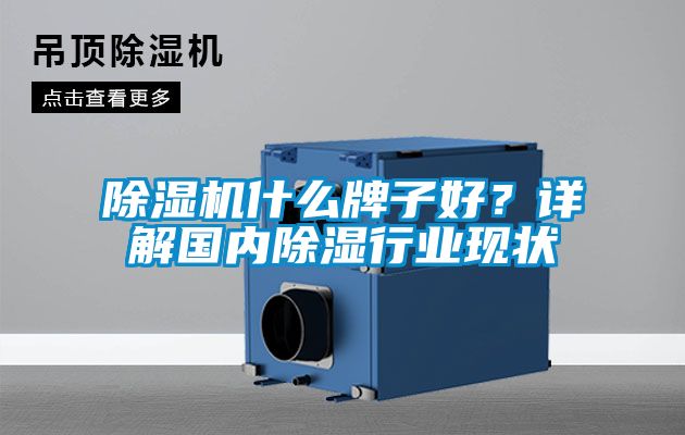 除濕機(jī)什么牌子好？詳解國(guó)內(nèi)除濕行業(yè)現(xiàn)狀