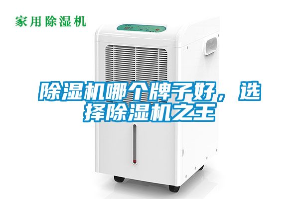 除濕機(jī)哪個牌子好，選擇除濕機(jī)之王