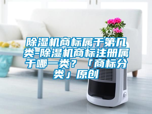 除濕機(jī)商標(biāo)屬于第幾類-除濕機(jī)商標(biāo)注冊屬于哪一類？「商標(biāo)分類」原創(chuàng)