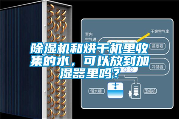 除濕機和烘干機里收集的水，可以放到加濕器里嗎？