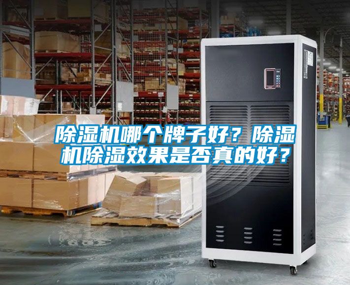 除濕機哪個牌子好？除濕機除濕效果是否真的好？