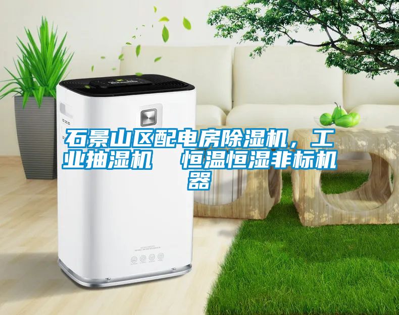 石景山區(qū)配電房除濕機(jī)，工業(yè)抽濕機(jī)  恒溫恒濕非標(biāo)機(jī)器