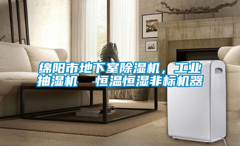 綿陽市地下室除濕機(jī)，工業(yè)抽濕機(jī)  恒溫恒濕非標(biāo)機(jī)器