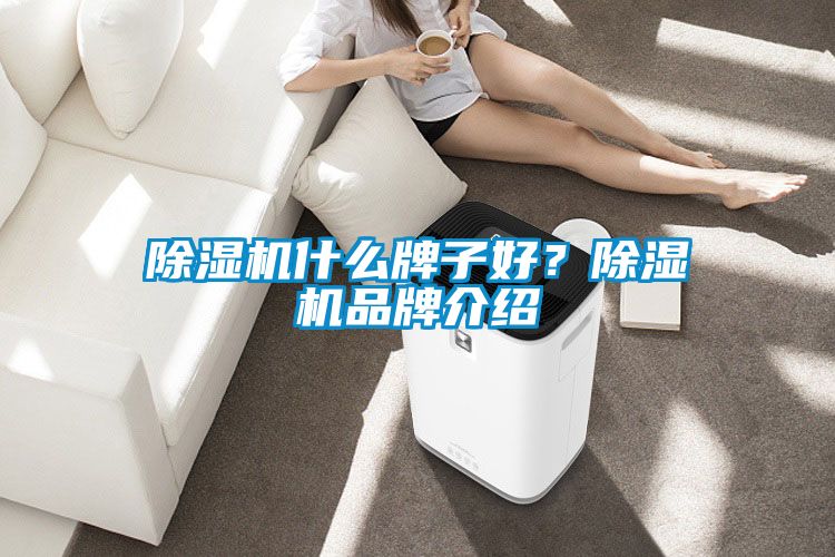 除濕機(jī)什么牌子好？除濕機(jī)品牌介紹