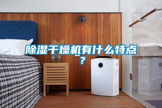 除濕干燥機(jī)有什么特點(diǎn)？