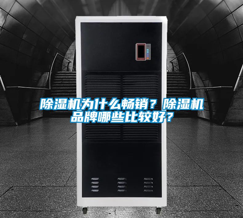 除濕機(jī)為什么暢銷？除濕機(jī)品牌哪些比較好？