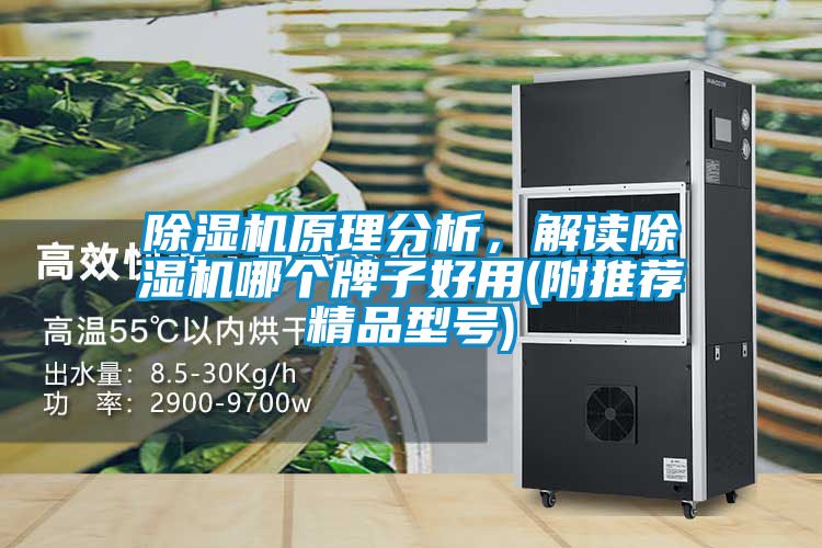除濕機(jī)原理分析，解讀除濕機(jī)哪個(gè)牌子好用(附推薦精品型號(hào))