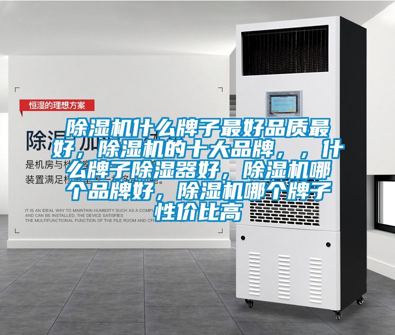 除濕機(jī)什么牌子最好品質(zhì)最好，除濕機(jī)的十大品牌，，什么牌子除濕器好，除濕機(jī)哪個(gè)品牌好，除濕機(jī)哪個(gè)牌子性價(jià)比高