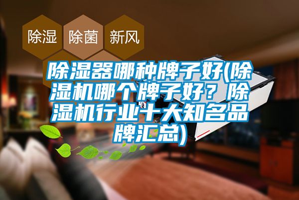 除濕器哪種牌子好(除濕機哪個牌子好？除濕機行業(yè)十大知名品牌匯總)