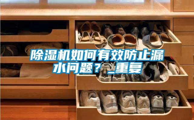 除濕機(jī)如何有效防止漏水問題？_重復(fù)