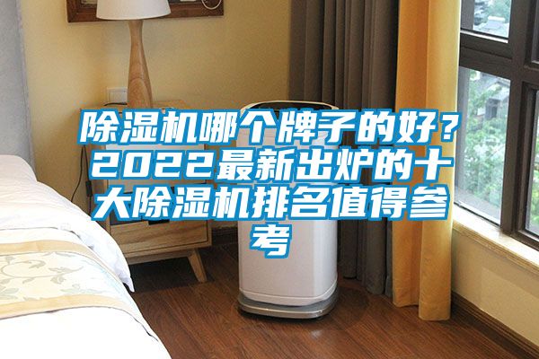 除濕機哪個牌子的好？2022最新出爐的十大除濕機排名值得參考