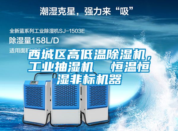 西城區(qū)高低溫除濕機(jī)，工業(yè)抽濕機(jī)  恒溫恒濕非標(biāo)機(jī)器