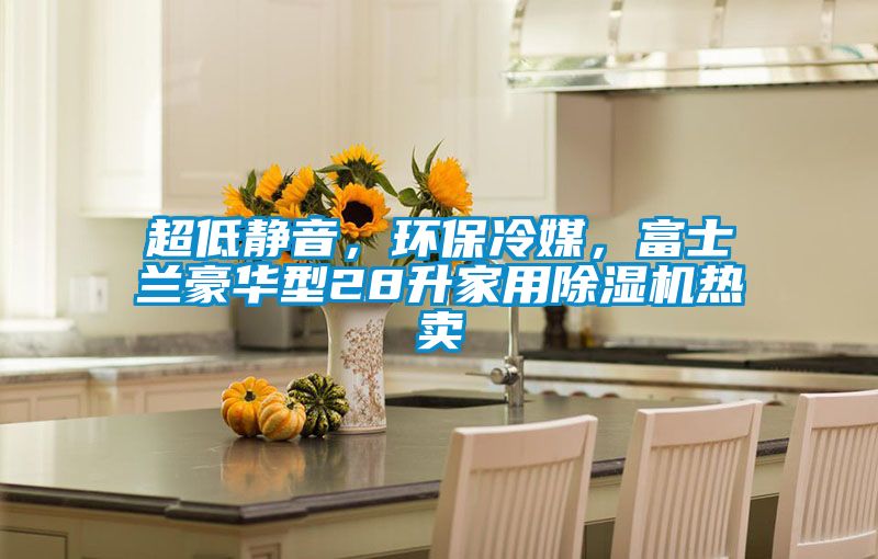 超低靜音，環(huán)保冷媒，富士蘭豪華型28升家用除濕機(jī)熱賣