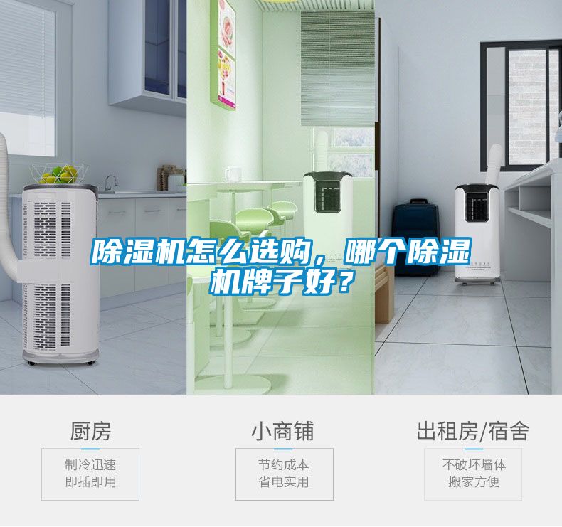 除濕機怎么選購，哪個除濕機牌子好？