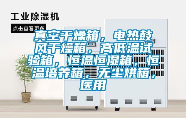 真空干燥箱，電熱鼓風(fēng)干燥箱，高低溫試驗(yàn)箱，恒溫恒濕箱，恒溫培養(yǎng)箱，無塵烘箱，醫(yī)用