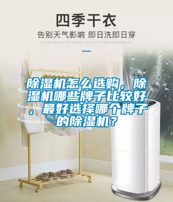 除濕機怎么選購，除濕機哪些牌子比較好，最好選擇哪個牌子的除濕機？