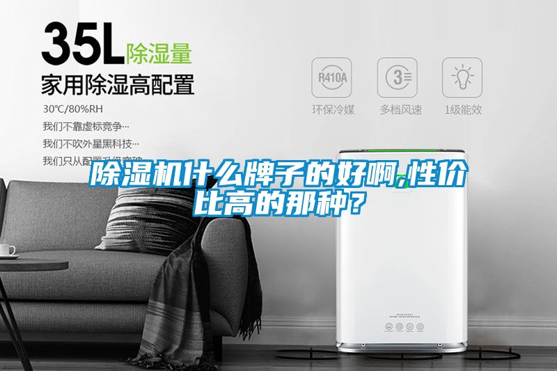 除濕機(jī)什么牌子的好啊,性?xún)r(jià)比高的那種？