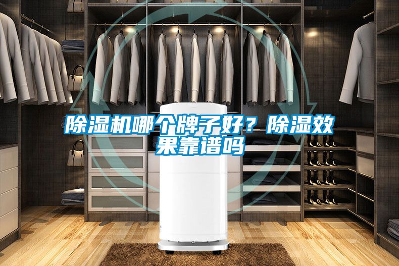 除濕機(jī)哪個牌子好？除濕效果靠譜嗎