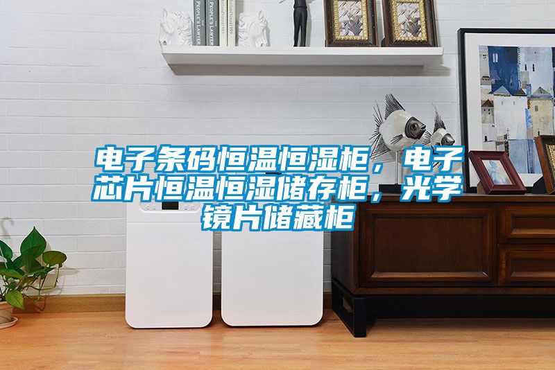 電子條碼恒溫恒濕柜，電子芯片恒溫恒濕儲存柜，光學(xué)鏡片儲藏柜