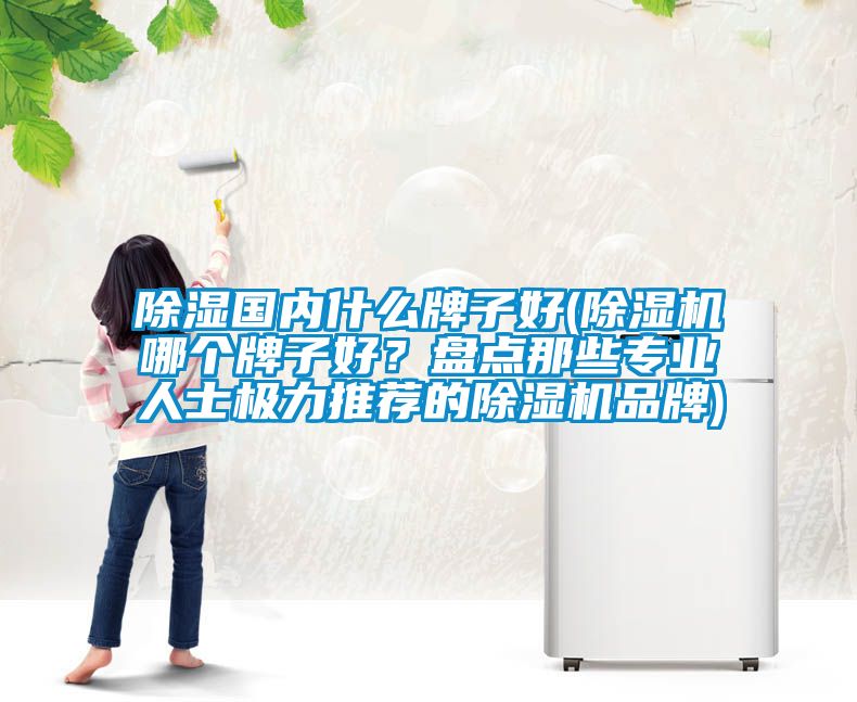 除濕國內(nèi)什么牌子好(除濕機(jī)哪個牌子好？盤點(diǎn)那些專業(yè)人士極力推薦的除濕機(jī)品牌)