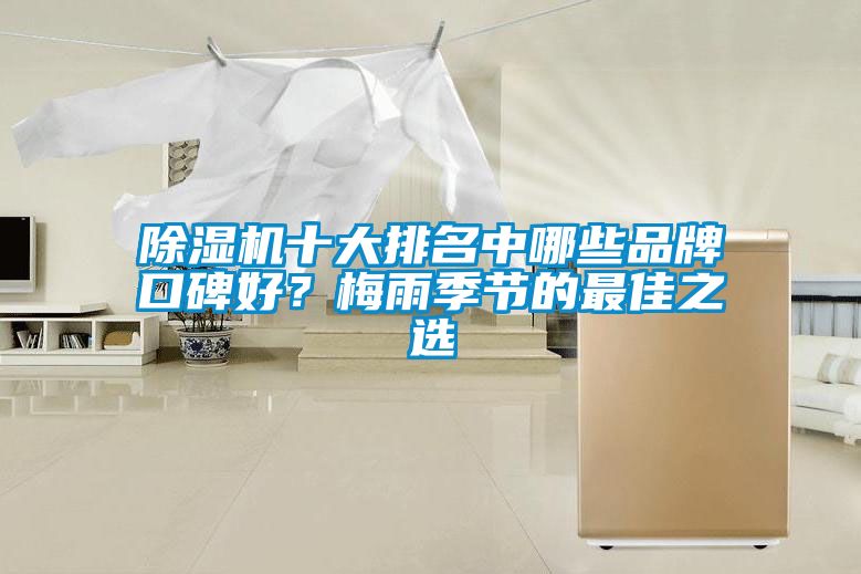 除濕機十大排名中哪些品牌口碑好？梅雨季節(jié)的最佳之選