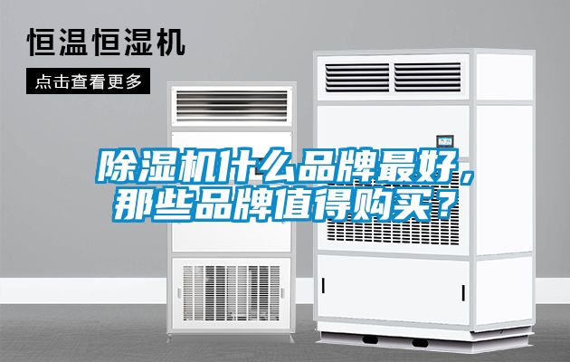 除濕機什么品牌最好，那些品牌值得購買？