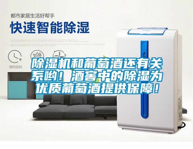 除濕機(jī)和葡萄酒還有關(guān)系喲！酒窖中的除濕為優(yōu)質(zhì)葡萄酒提供保障！