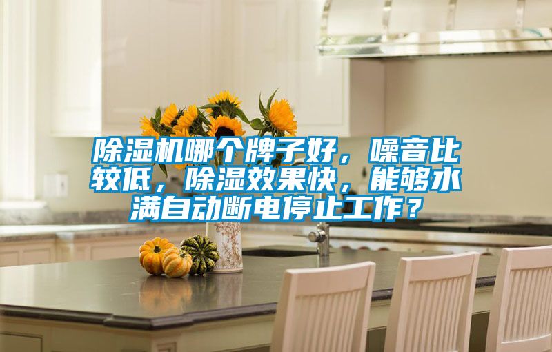 除濕機(jī)哪個牌子好，噪音比較低，除濕效果快，能夠水滿自動斷電停止工作？