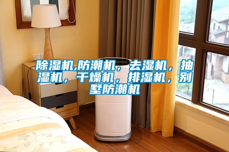 除濕機(jī),防潮機(jī)，去濕機(jī)，抽濕機(jī)，干燥機(jī)，排濕機(jī)，別墅防潮機(jī)