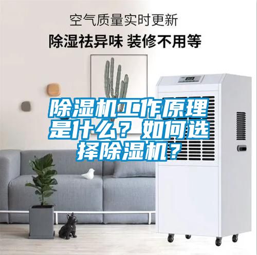 除濕機(jī)工作原理是什么？如何選擇除濕機(jī)？