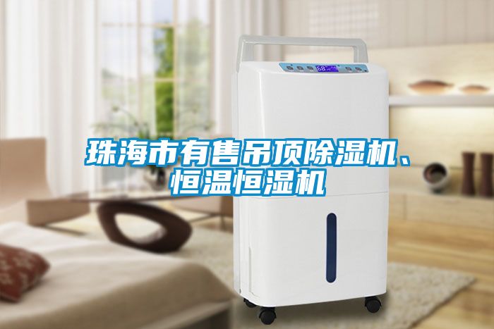珠海市有售吊頂除濕機、恒溫恒濕機