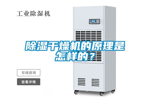 除濕干燥機(jī)的原理是怎樣的？