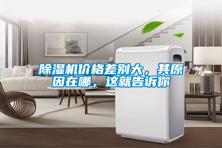 除濕機價格差別大，其原因在哪，這就告訴你